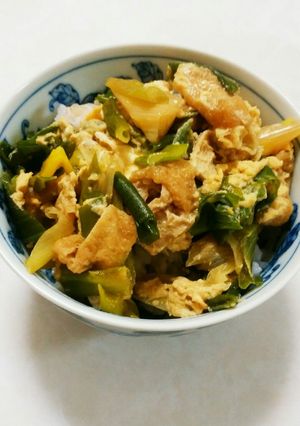 あげネギ丼-レシピのメイン写真