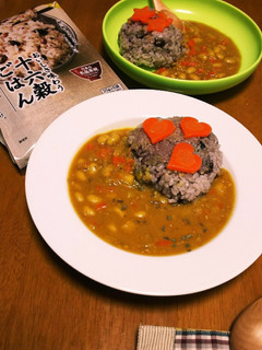 大豆カレー*とろみは餅*米ははくばく雑穀-レシピのメイン写真