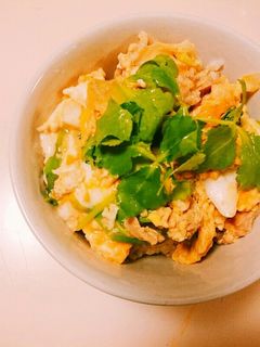 豚と卵で他人丼-レシピのメイン写真