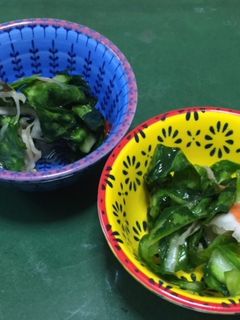 春キャベツの外葉っぱで浅漬け-レシピのメイン写真