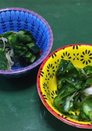 春キャベツの外葉っぱで浅漬け-レシピのメイン写真