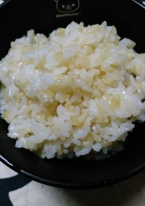 圧力鍋で簡単♡発芽玄米入りご飯(^^)-レシピのメイン写真