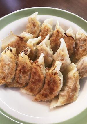 キャベツと青じその手作り餃子-レシピのメイン写真