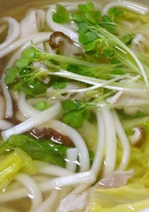 冬の白菜一人鍋-レシピのメイン写真