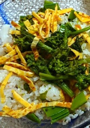 菜の花チラシ-レシピのメイン写真