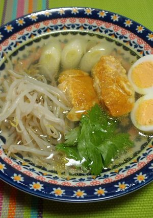 ヘルシー・節約！鶏むね肉・もやしのスープ-レシピのメイン写真