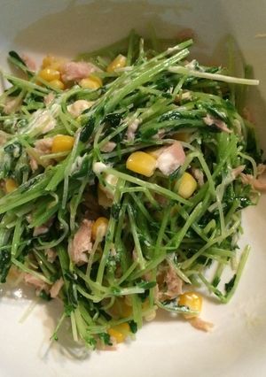 豆苗のツナサラダ-レシピのメイン写真