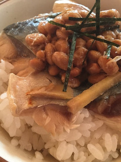 納豆と鯖の醤油煮丼-レシピのメイン写真
