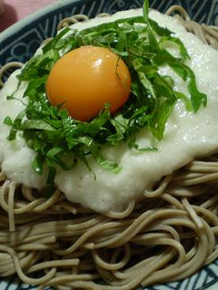 濃厚さっぱり月見そば♪-レシピのメイン写真