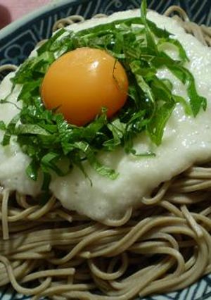 濃厚さっぱり月見そば♪-レシピのメイン写真