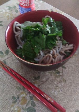 夏にもサッパリ!蕎麦にシラスと青紫蘇on-レシピのメイン写真