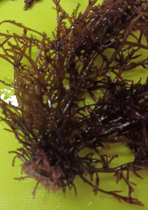 ソゾ(海藻)の味噌汁-レシピのメイン写真