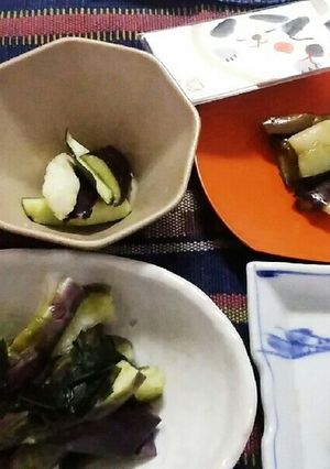 大長茄子1本で4品使い切る！-レシピのメイン写真