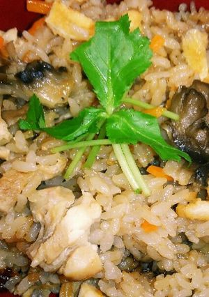 ☆鳥肉と！舞茸の簡単炊き込みご飯☆☆-レシピのメイン写真