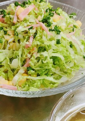 白菜とベーコンの爽やかサラダ-レシピのメイン写真