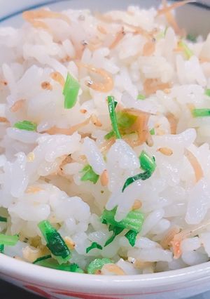 山椒が香る 大根の葉としらすのご飯-レシピのメイン写真