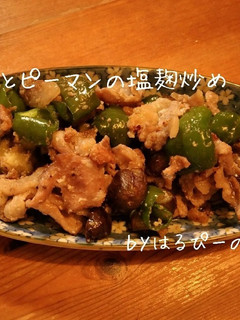 ナスとピーマンの塩麹炒め-レシピのメイン写真