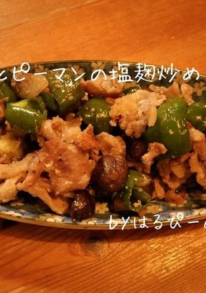 ナスとピーマンの塩麹炒め-レシピのメイン写真