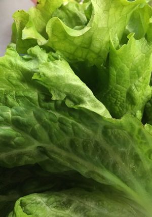 野菜が高い？おつとめ品の葉物復活方法-レシピのメイン写真
