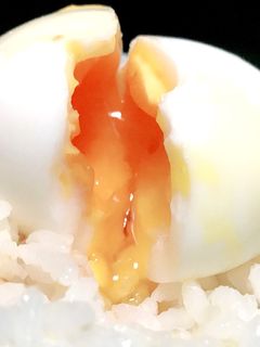 超簡単◯半熟たまご◯黄身トロトロ失敗なし-レシピのメイン写真