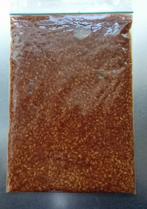 簡単！袋に入れて揉むだけ！醤油麹の作り方-レシピのメイン写真