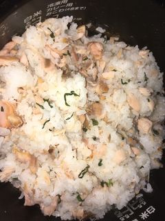 鮭しそご飯-レシピのメイン写真