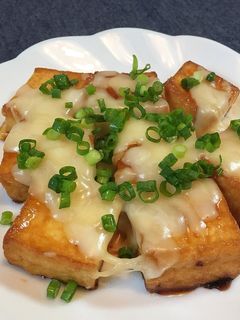 焼肉のタレで厚揚げステーキ-レシピのメイン写真