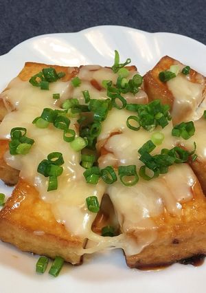 焼肉のタレで厚揚げステーキ-レシピのメイン写真