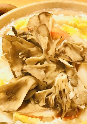 濃厚白湯野菜鍋●白湯＋ミルクで豆乳風に-レシピのメイン写真