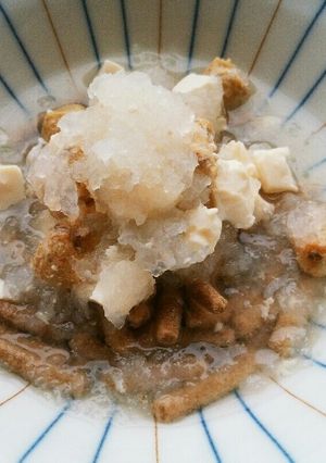 わんにゃんご飯　大根おろしの汁かけごはん-レシピのメイン写真