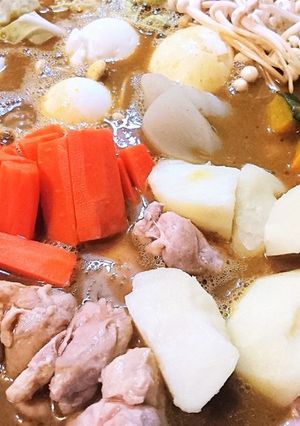 身体ポカポカ★寒い日は【スープカレー鍋】-レシピのメイン写真