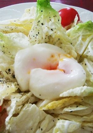 白菜のシーザーサラダ風-レシピのメイン写真