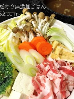 素なし簡単!カレールーでカレー鍋-レシピのメイン写真