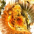 食べれば カキフライ❗️