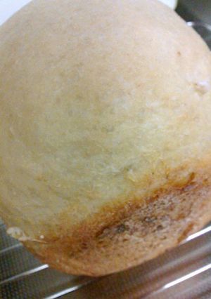 HBにおまかせおから食パン♪-レシピのメイン写真