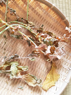 大根葉の活用法-レシピのメイン写真
