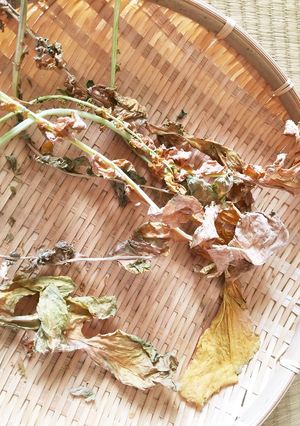 大根葉の活用法-レシピのメイン写真