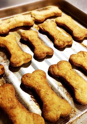 犬用ヘーゼルナッツが香るビスケット-レシピのメイン写真