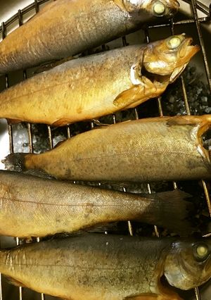 ニジマスの燻製-レシピのメイン写真