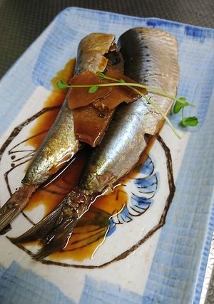鰯の生姜煮-レシピのメイン写真