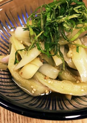 ブライド長茄子のレンジで簡単◎ポン酢和え-レシピのメイン写真