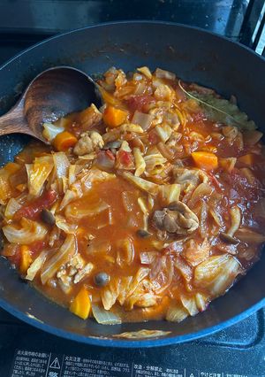 野菜いっぱいの鶏肉のトマト煮-レシピのメイン写真
