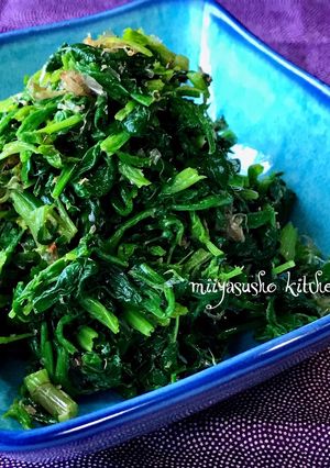 ほうれん草のかつお節と胡麻油の和えたん-レシピのメイン写真