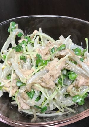 もやしとカイワレのツナサラダ-レシピのメイン写真