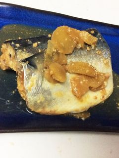 生姜の効いた〜鯖の味噌煮-レシピのメイン写真