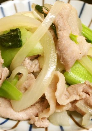 塩麹で肉野菜炒め-レシピのメイン写真
