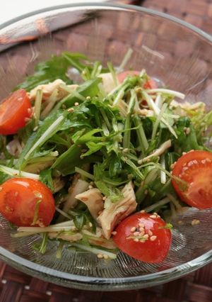 鶏ささみと水菜のサラダ-レシピのメイン写真