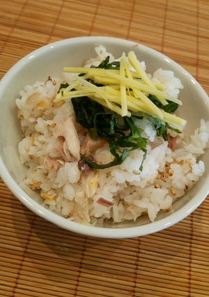 残り物リメイク!!でサバ寿司♪-レシピのメイン写真