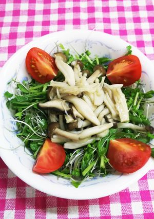 野菜の高騰に負けないサラダ♪-レシピのメイン写真