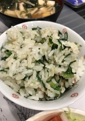 大根の葉っぱで菜めし-レシピのメイン写真